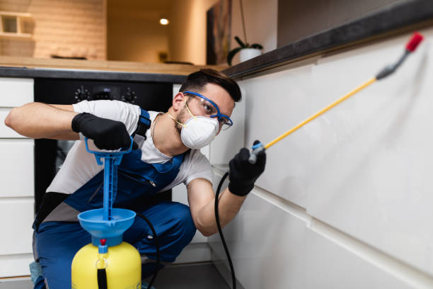 Best Exterminator Services  in College, AK