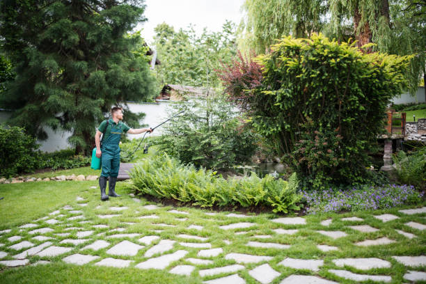 Best Wasp Removal Services  in College, AK