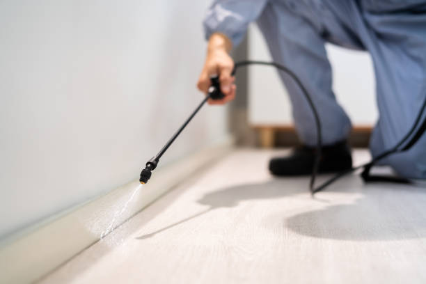 Reliable College, AK Pest Control Solutions