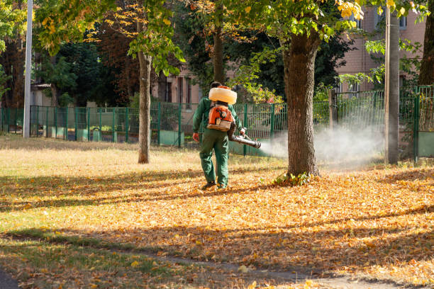 Best Flea Control Services  in College, AK