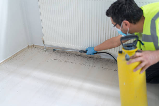 Best Cockroach Control Services  in College, AK