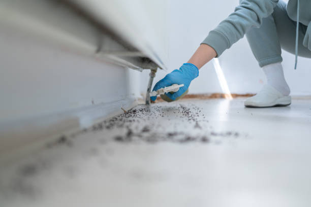 Best Pest Inspection Near Me  in College, AK